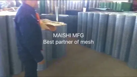 Garden Fence Stainless Steel Electro Galvanized Hot Dipped Galvanized Welded Wire Mesh Rolls