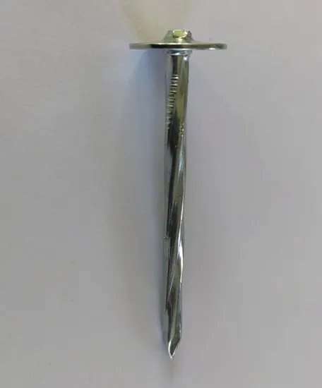 Electro Galvanized Flat Head Roofing Nail Wisth Washer