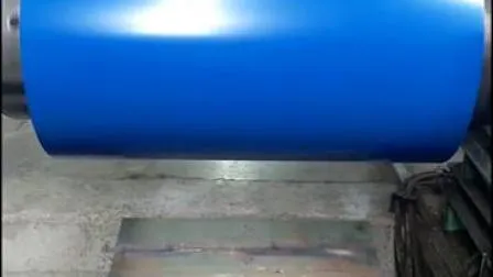 Cold /Hot Rolled /Color Coated/Carbon Galvanized Steel Coil PPGI for Boiler/Boat/Container Board