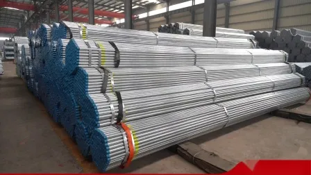 BS 1387 ASTM A53 a 500 Galvanized Steel Pipe Factory 