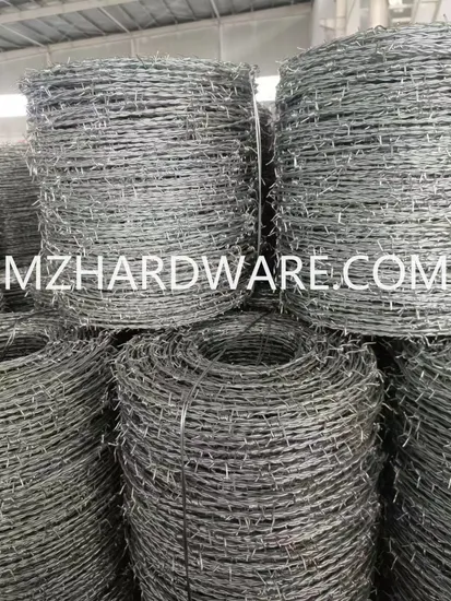 100m 200m 300m 400m 500m Electro/Hot Dipped Galvanized and PVC Coated /Stainless Steel Bto