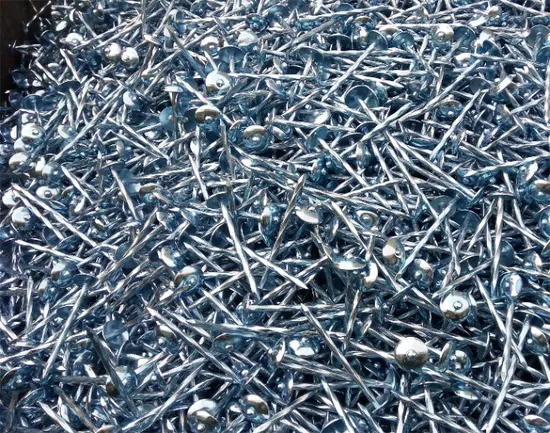 Electro Galvanized Umbrella Head Roofing Nail 