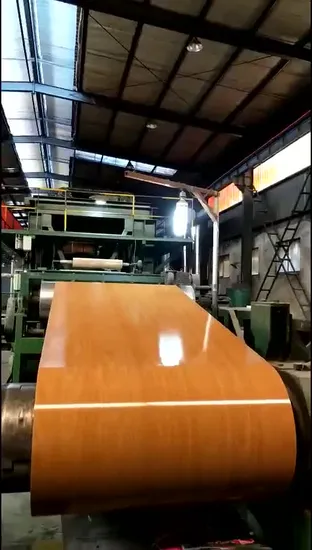 PPGI/ Color Coated Galvanized Steel Sheet Coil 